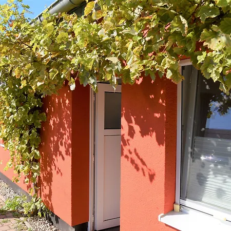 Vermietung Brunner Aparthotel 3*