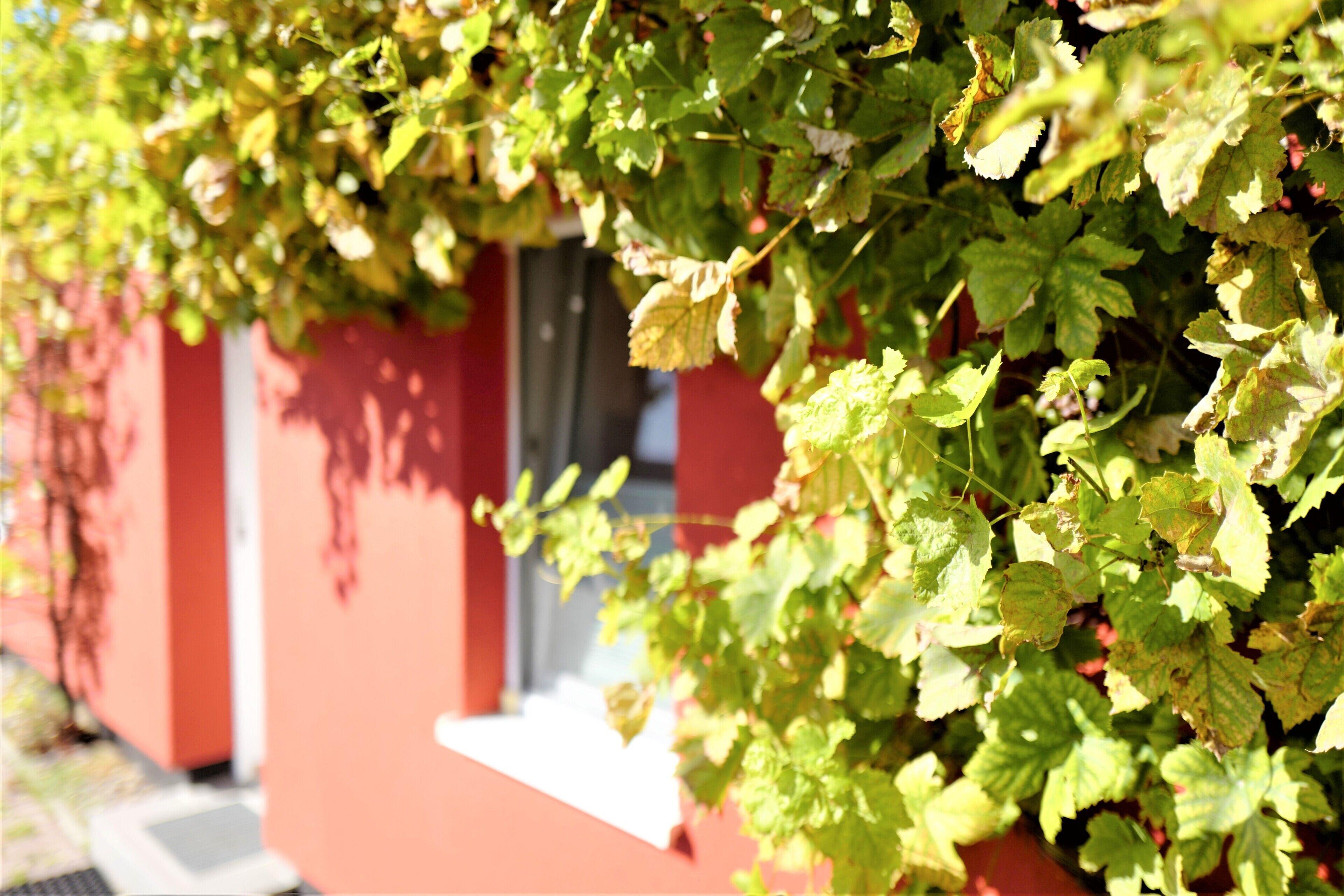 Vermietung Brunner Aparthotel Rostock